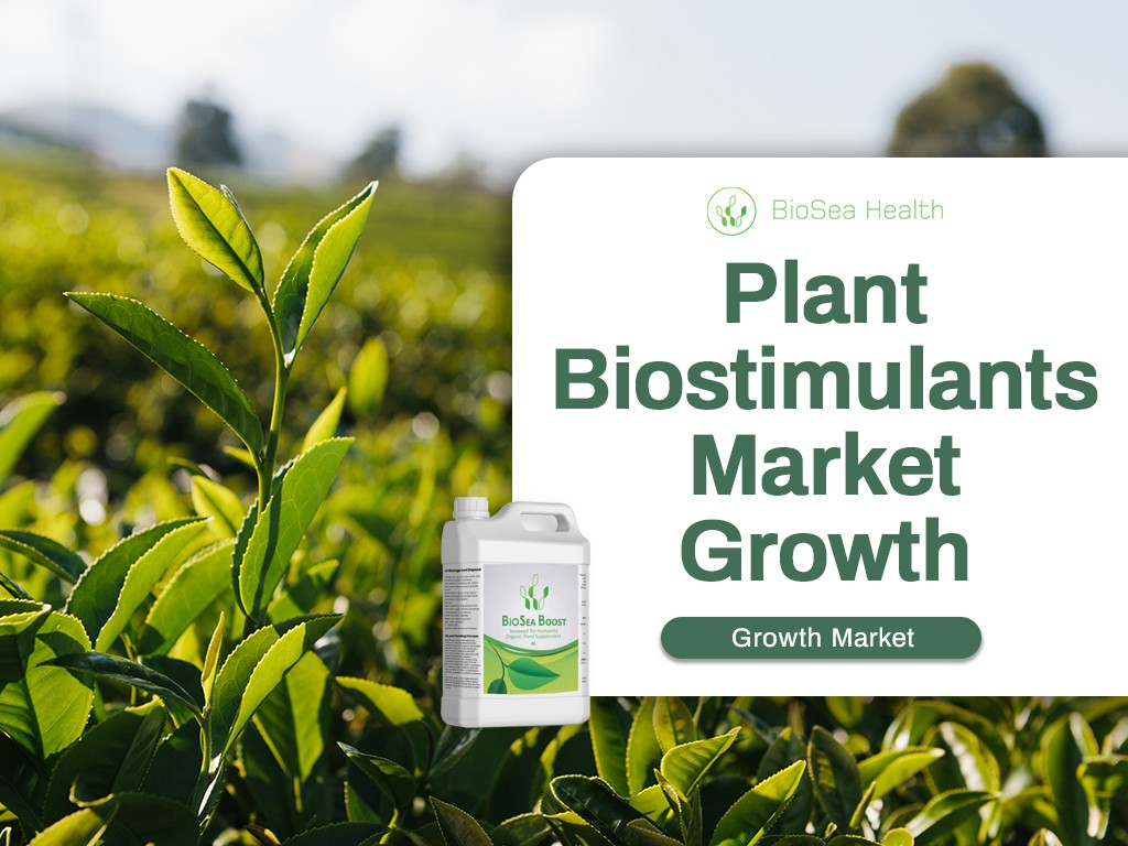 Plant Biostimulant Market Growing Organic Boost Biostimulant Available