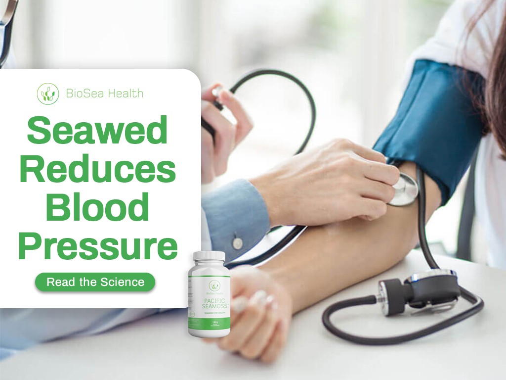 Blood Pressure Control with Seaweed Pacific Seamoss