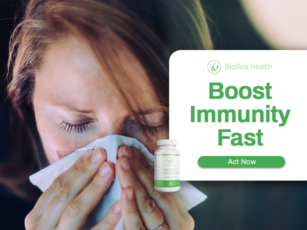 Boost immunity fast with seaweed pacific sea moss
