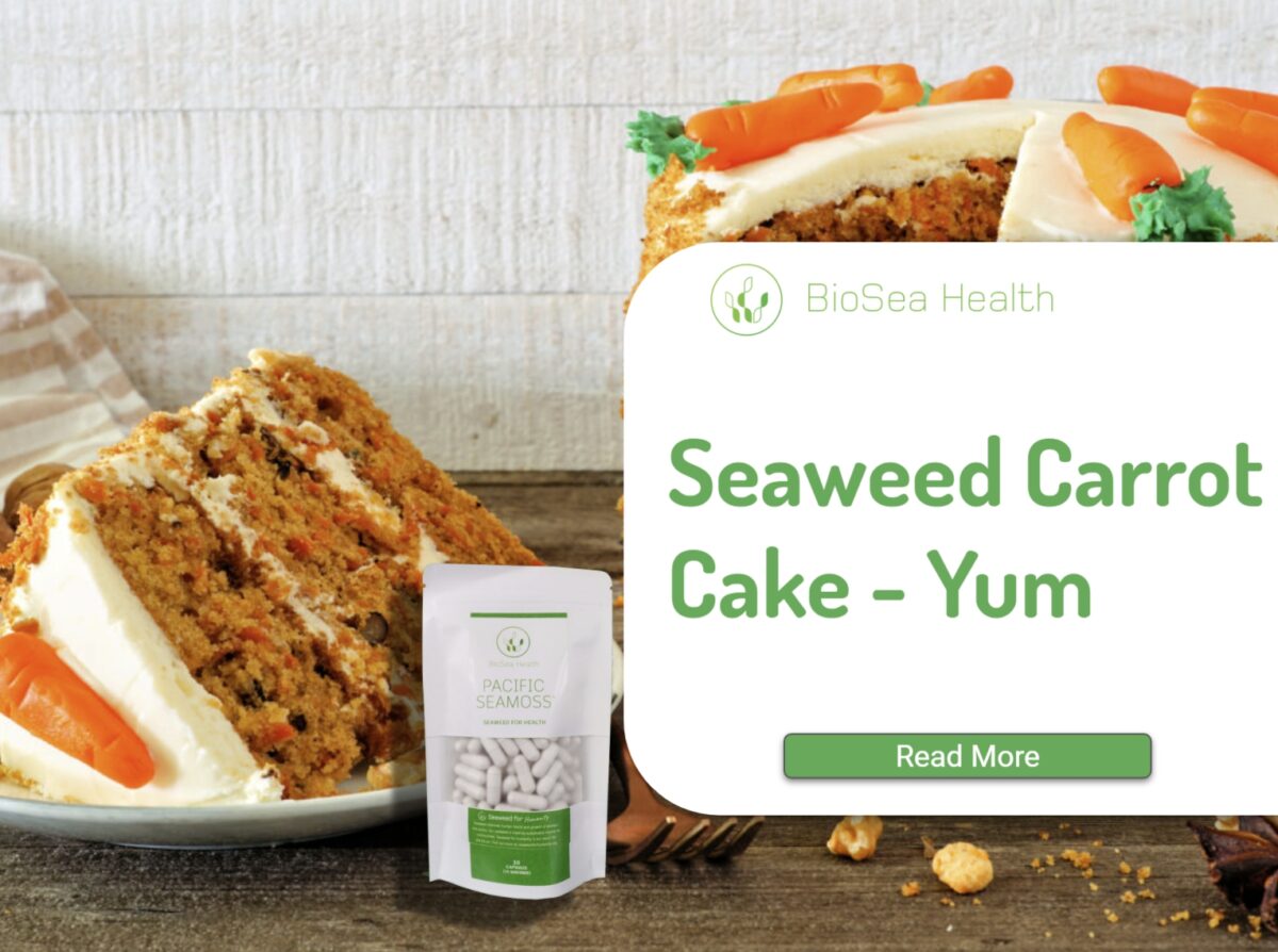 seaweed cake with carrot base - healthy eating