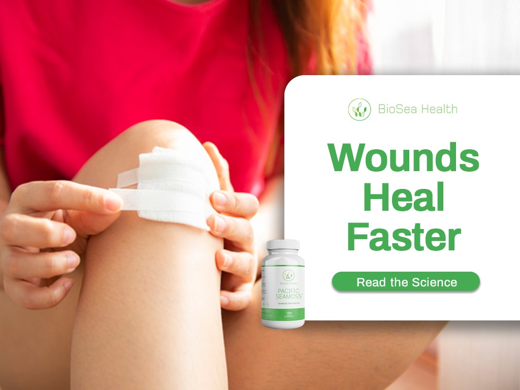 Wounds heal faster with seaweed. Use Pacific Sea Moss