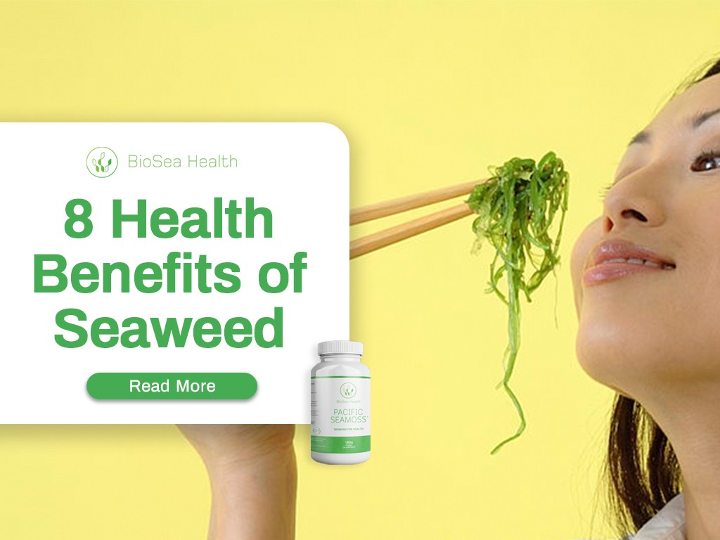 8 health benefits of seaweed eating Pacific Seamoss