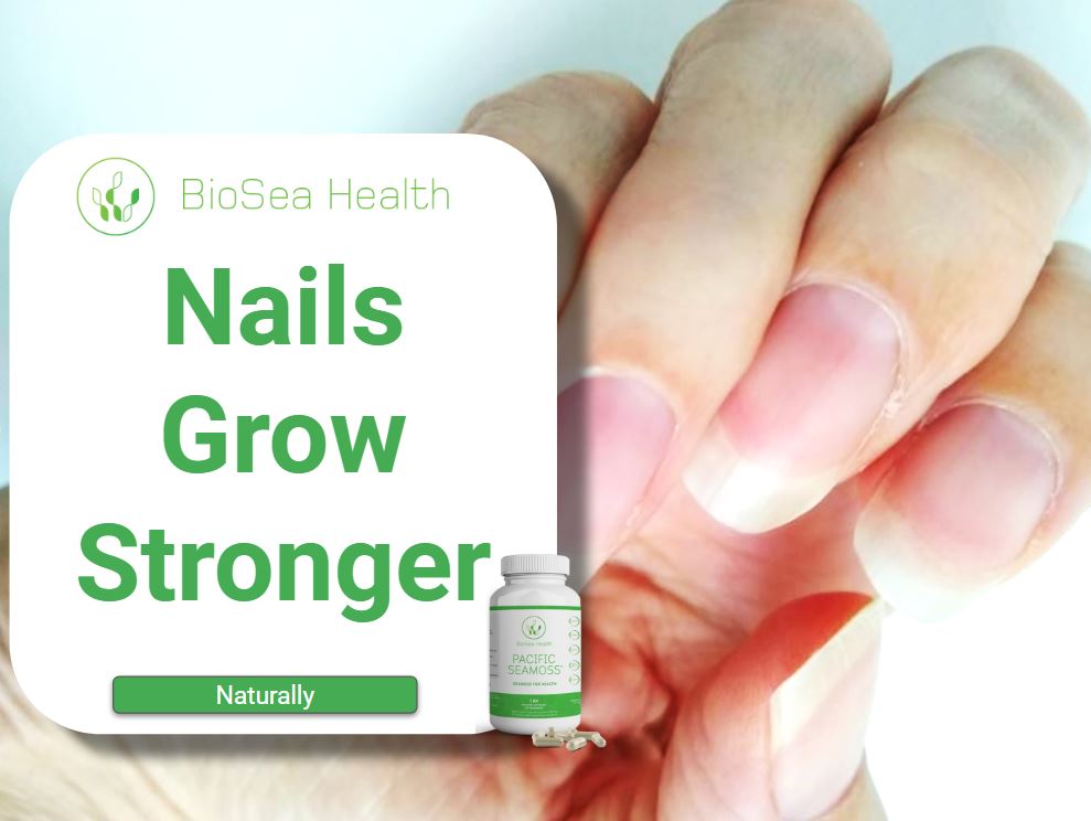 Nails grow stronger with Pacific Sea Moss