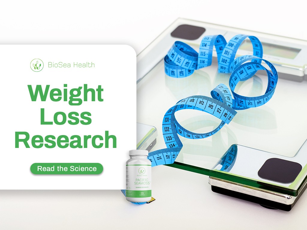 Seaweed linked to weight loss Pacific Sea Moss