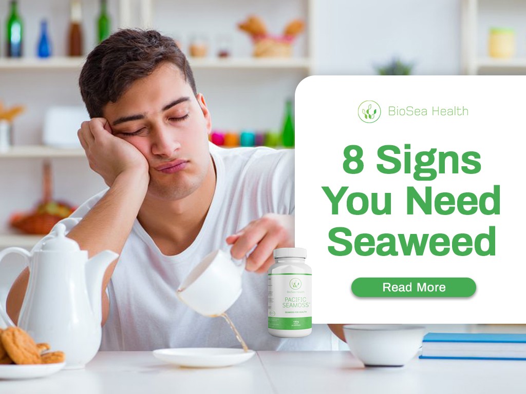 8 Signs You Need Seaweed in Your Life