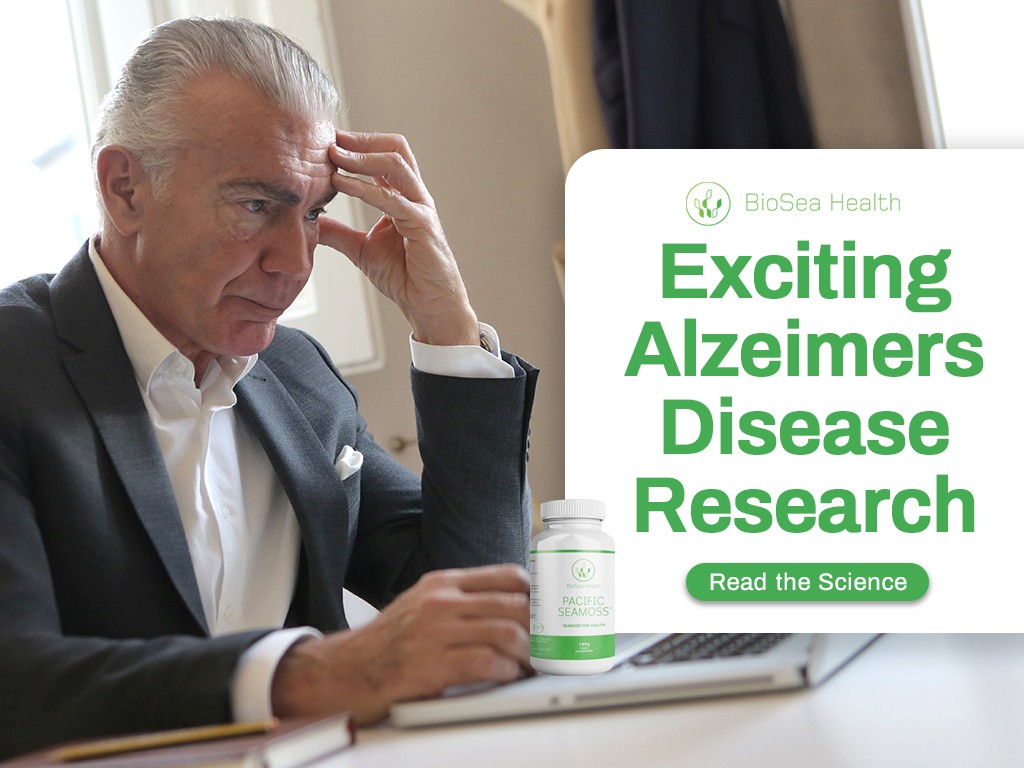 Seaweed drug for Alzheimers Disease research