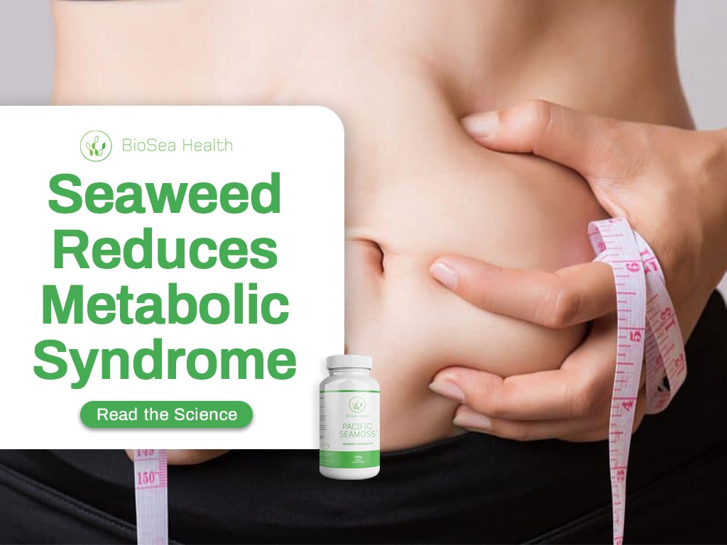 seaweed reduces metabolic syndrome