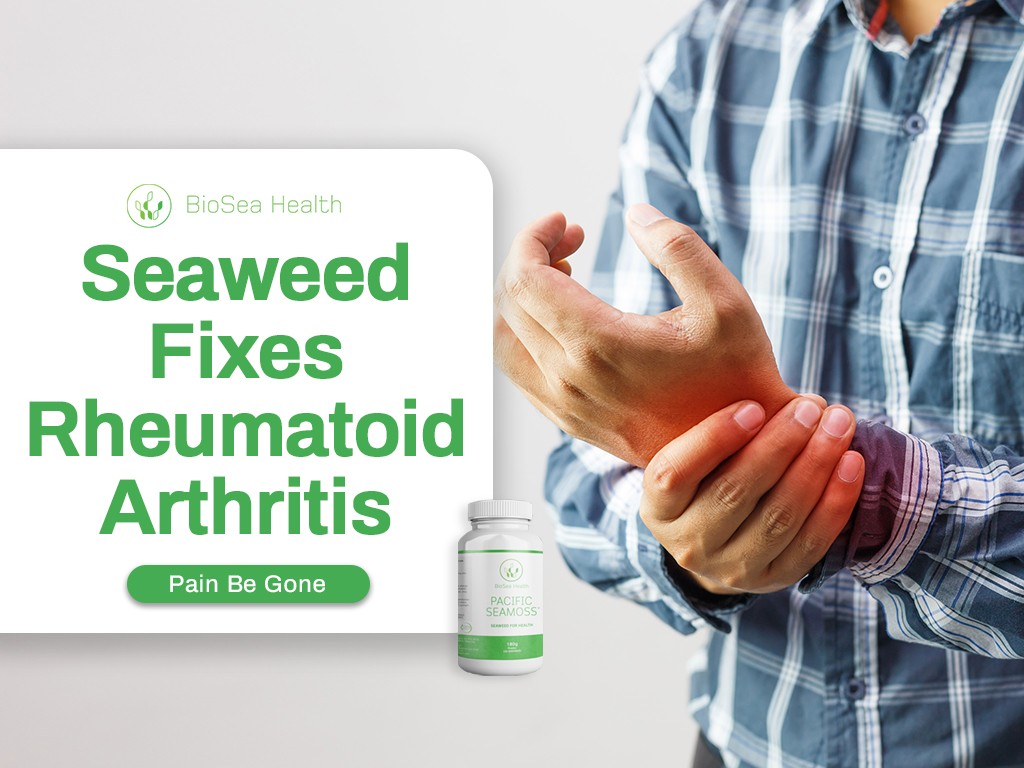 Seaweed stops rheumatoid arthritis with Pacific Sea Moss