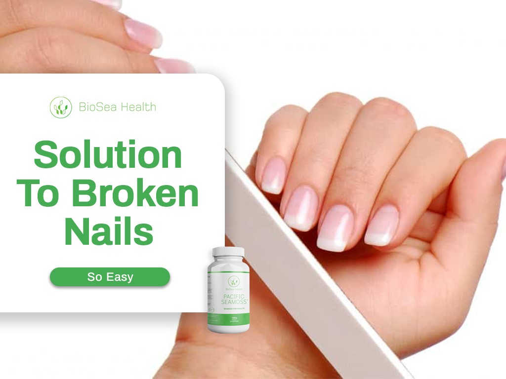 Seaweed solution to broken nails Take Pacific Sea Moss today