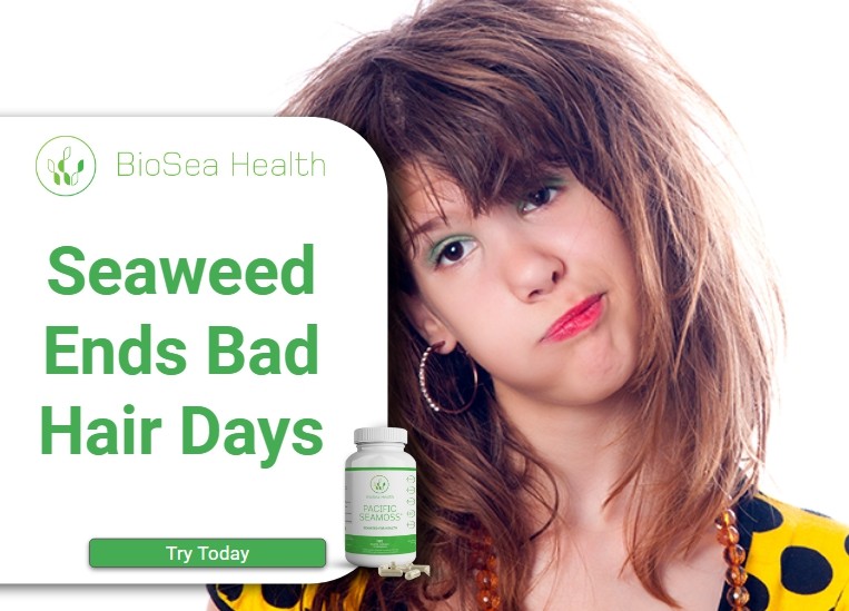 seaweed ends bad hair days