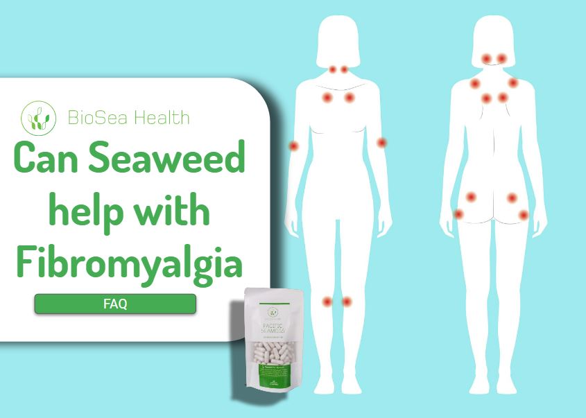 Seaweed and Fibromyalgia