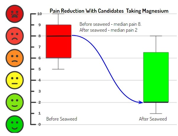 magnesium in seaweed is moderate but seaweed reduces pain more than magnesium