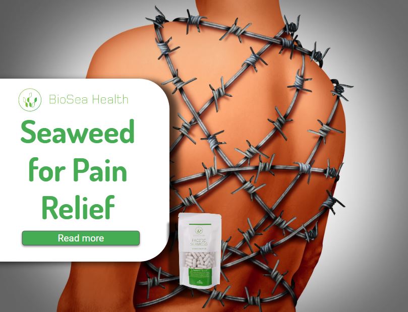 seaweed for pain relief - is it an analgesis