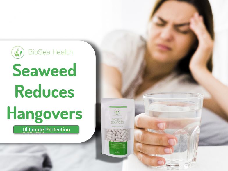Seaweed reduces Hangovers