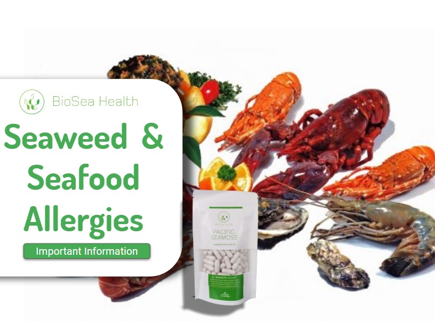 Seafood allergies and Seaweed