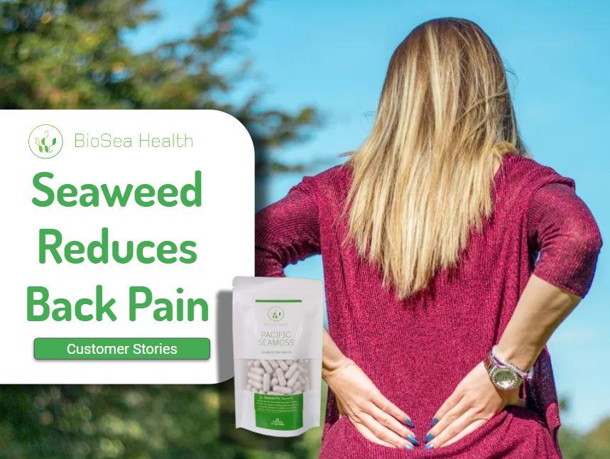 Seaweed Reduces Back Pain