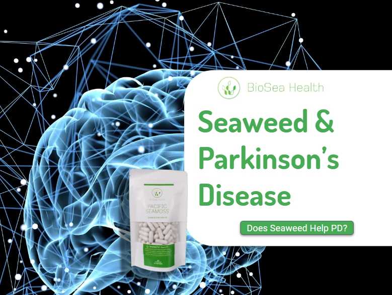 Seaweed reduces parkinson's disease effects