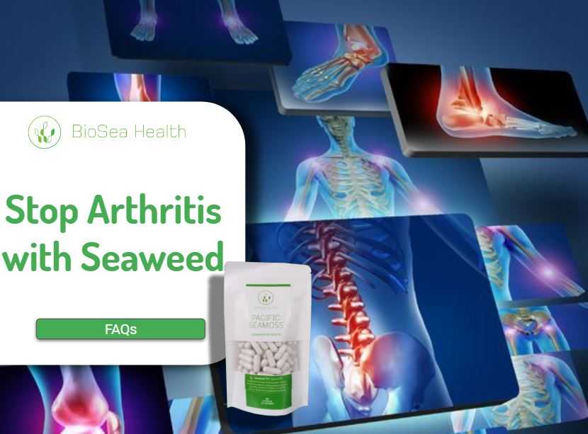 stop arthritis with seaweed FAQ - customers report reduction in pain with Pacific seamoss