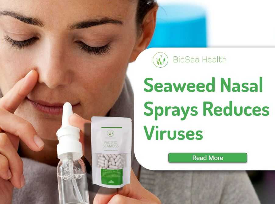 seaweed nasal spray reduces virus infection