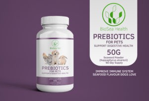 prebiotics for pets 50g