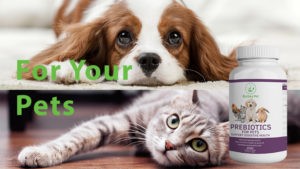 Bioseahealth for cats dogs and animals