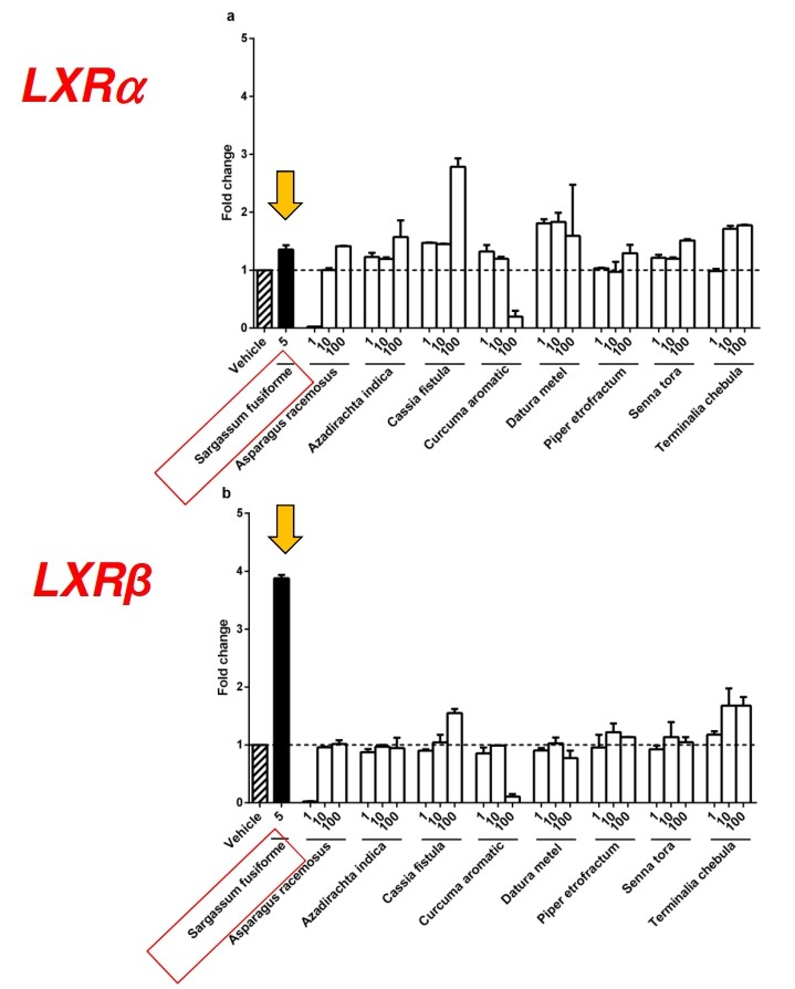 Sargassum fusiforme activates LXRb